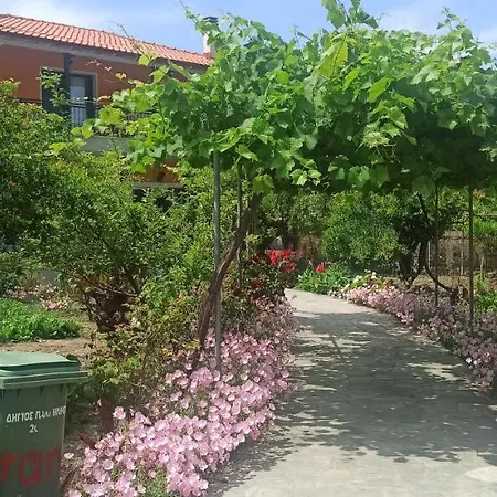 Orange Tree Garden Appartement *