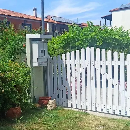 Orange Tree Garden * Pefkochori