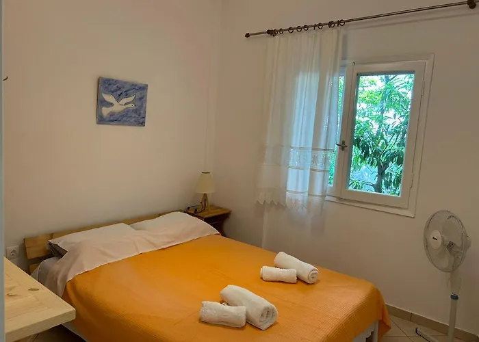 Orange Tree Garden Pefkochori